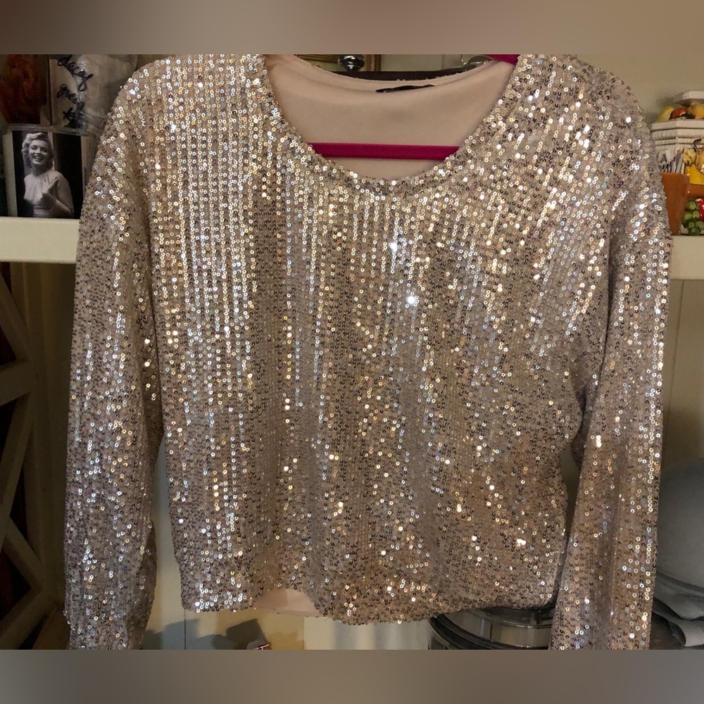 Sequin Long Sleeve Top brand is DEX